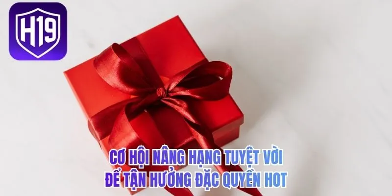 Cơ hội nâng hạng tuyệt vời để tận hưởng đặc quyền hot